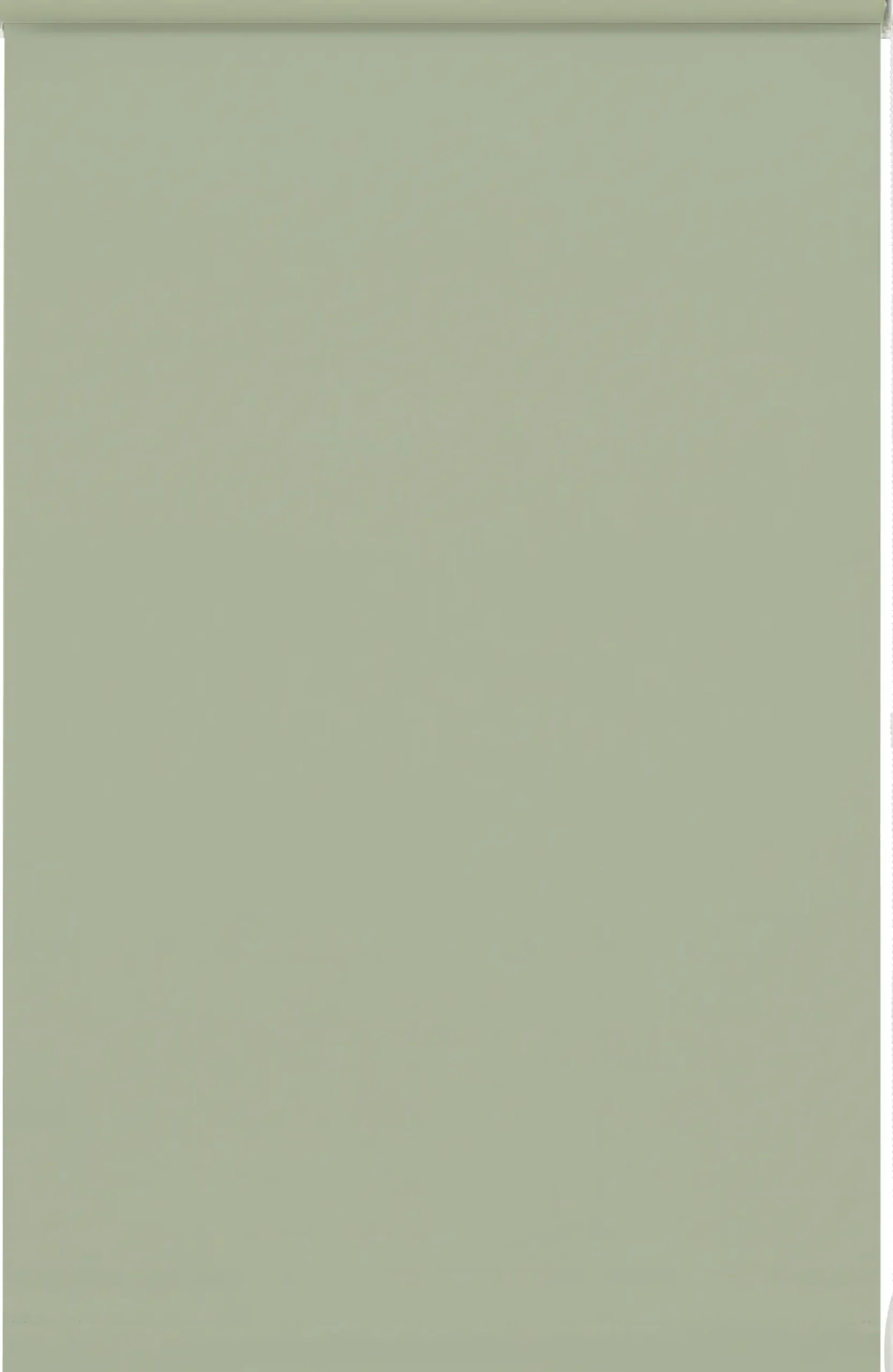 Gardinia EasyFix Rollo mintgrün 75 x 150 cm