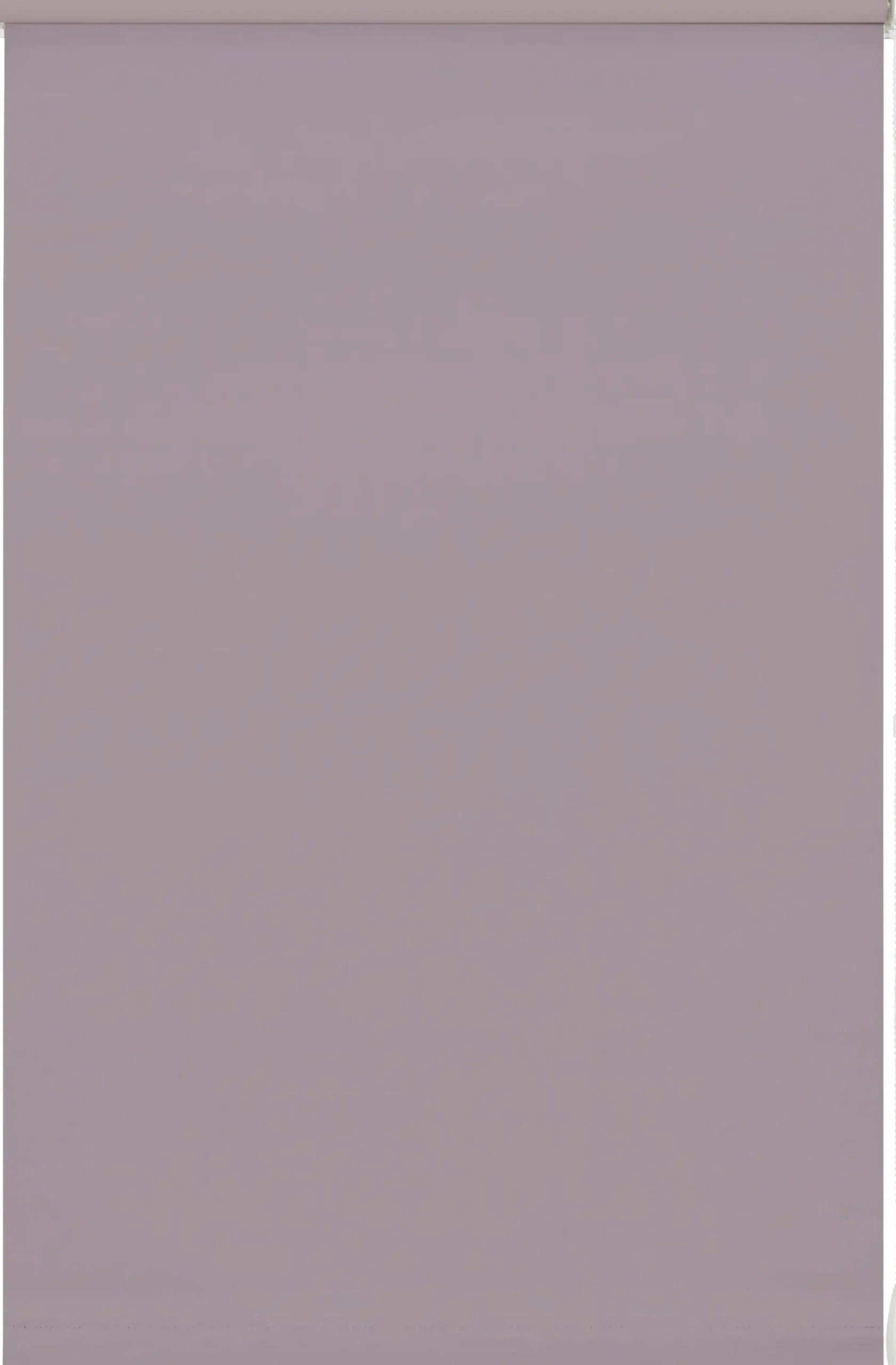 Gardinia EasyFix Rollo perlrosa 120 x 150 cm