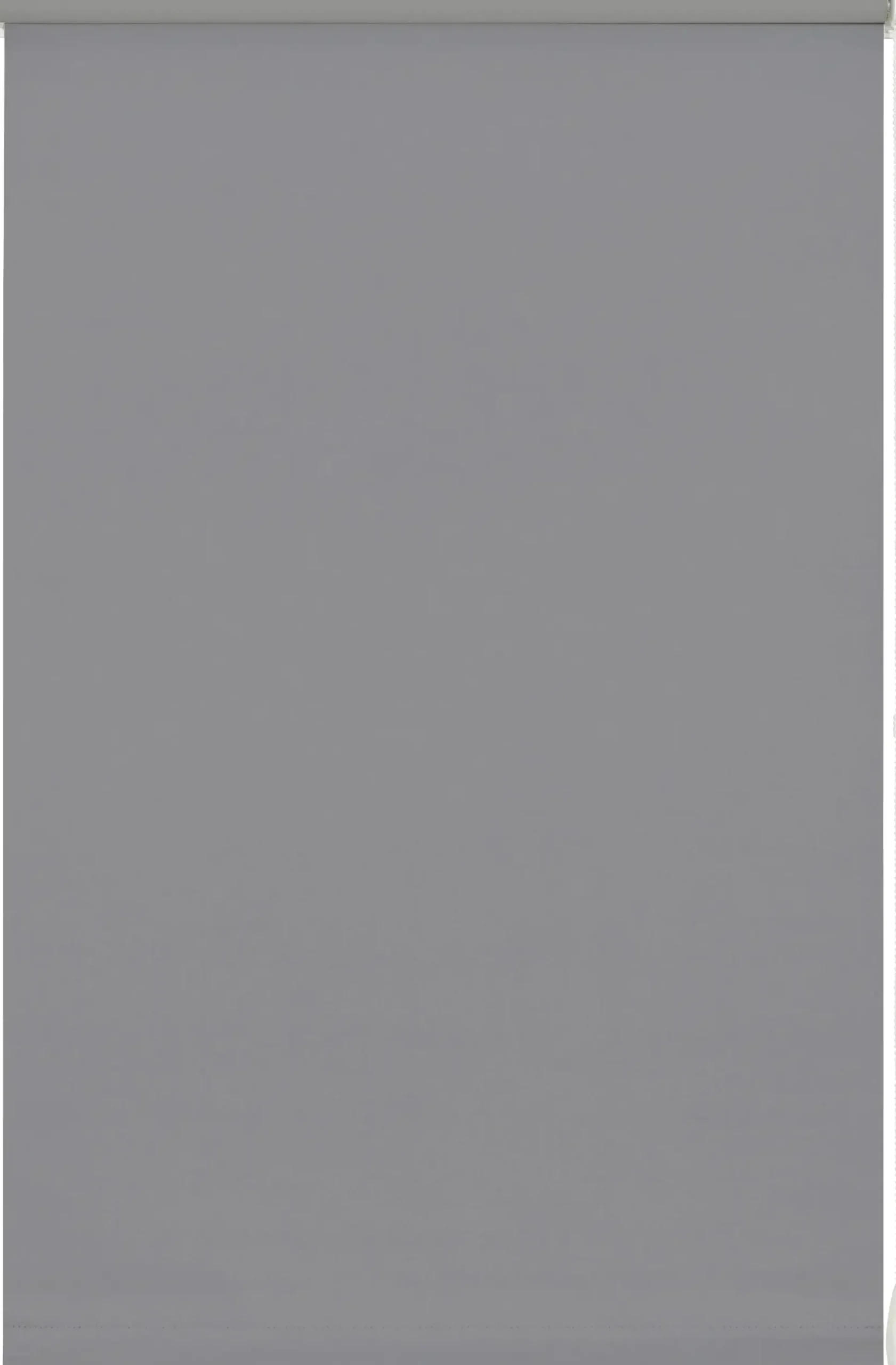 Gardinia EasyFix Rollo steingrau 75 x 150 cm
