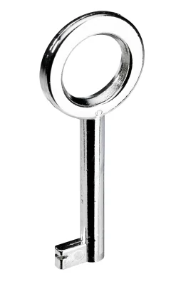 Hettich Buntbart-Schlüssel vernickelt glanz 65 x 4 mm Stahl, 1 Stück