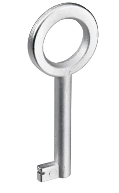 Hettich Buntbart-Schlüssel vernickelt matt 65 x 4 mm Stahl, 1 Stück