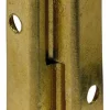 Hettich Möbelband Stahl vermessingt 10 x 50 mm
