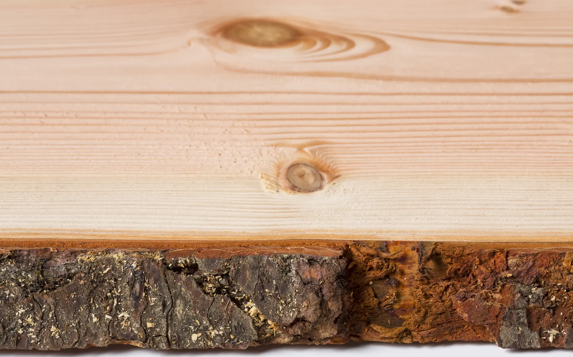 Holzbrett Massivholz Douglasie unbesäumt 120 x 37 cm 30 mm