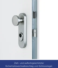 Hörmann Sicherheitstür KSI 40 RC2 100 x 200 cm Links