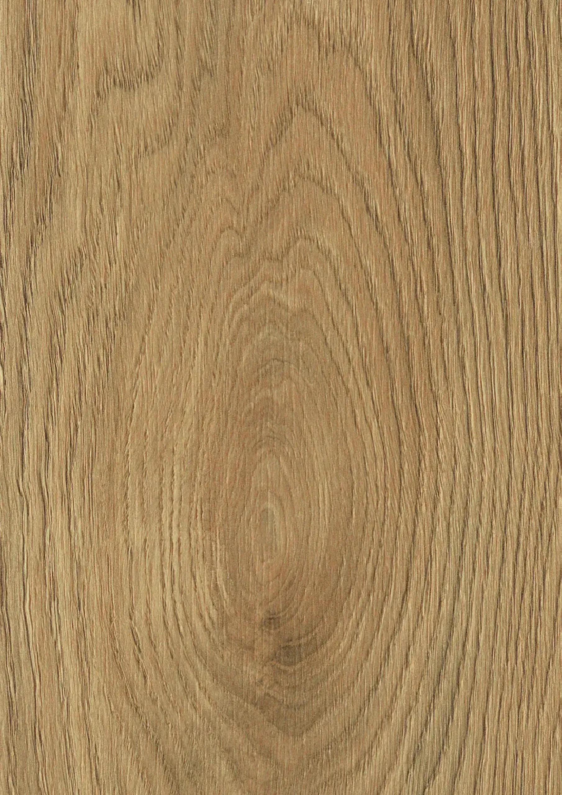 Krono Original Laminat Wheat Cornforth Oak eiche