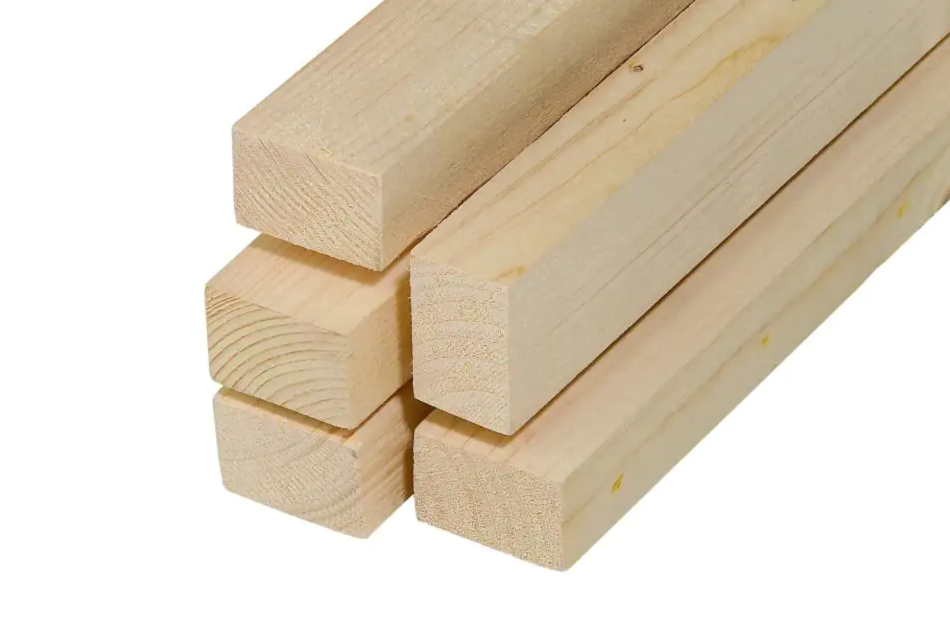 Latte Fichte Tanne feiner Sägeschnitt 200 cm 50 x 30 mm sägerau