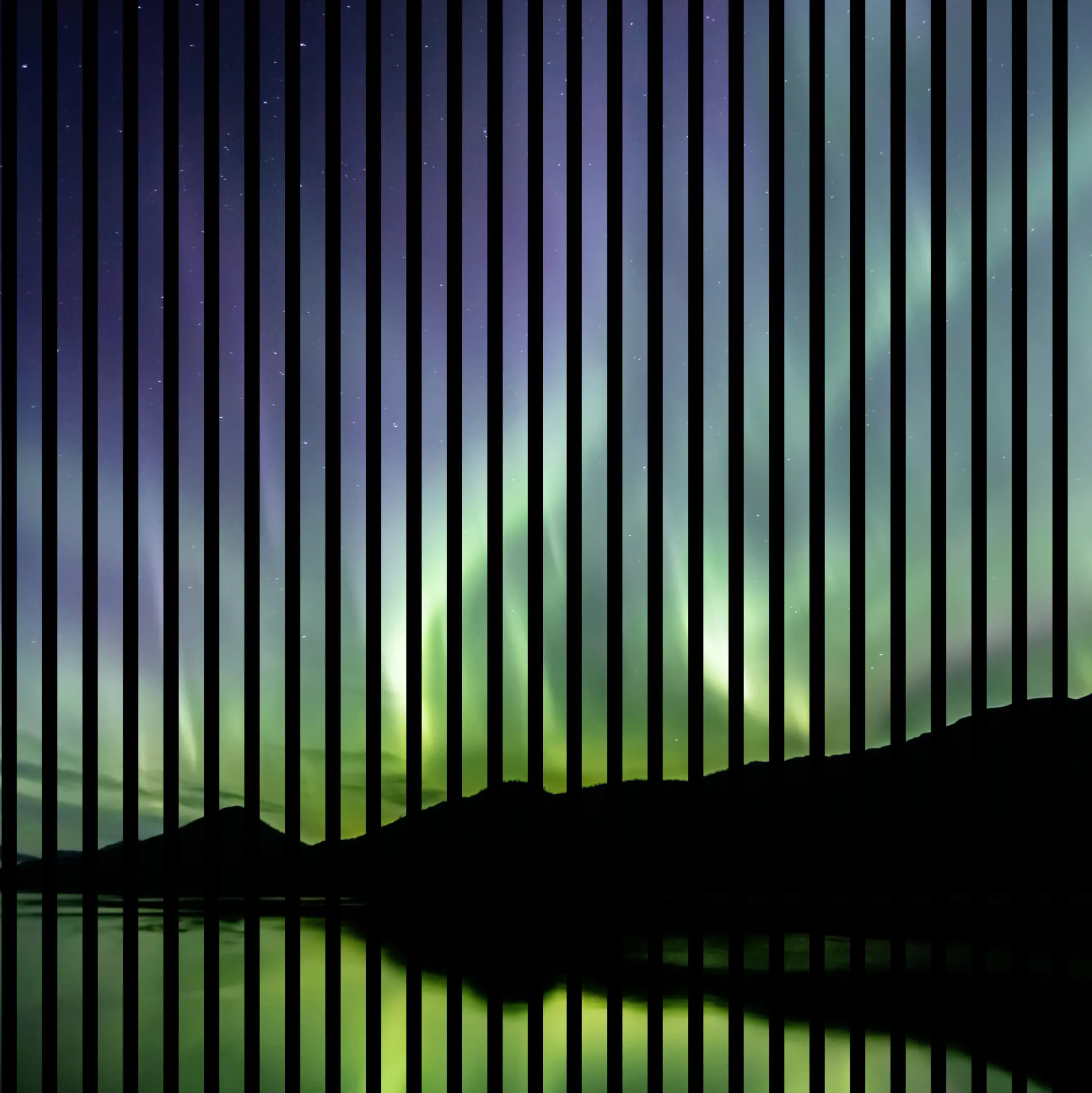 Neuhofer Akustikpaneele Aurora 119,5 x 113,3 x 1,9 cm