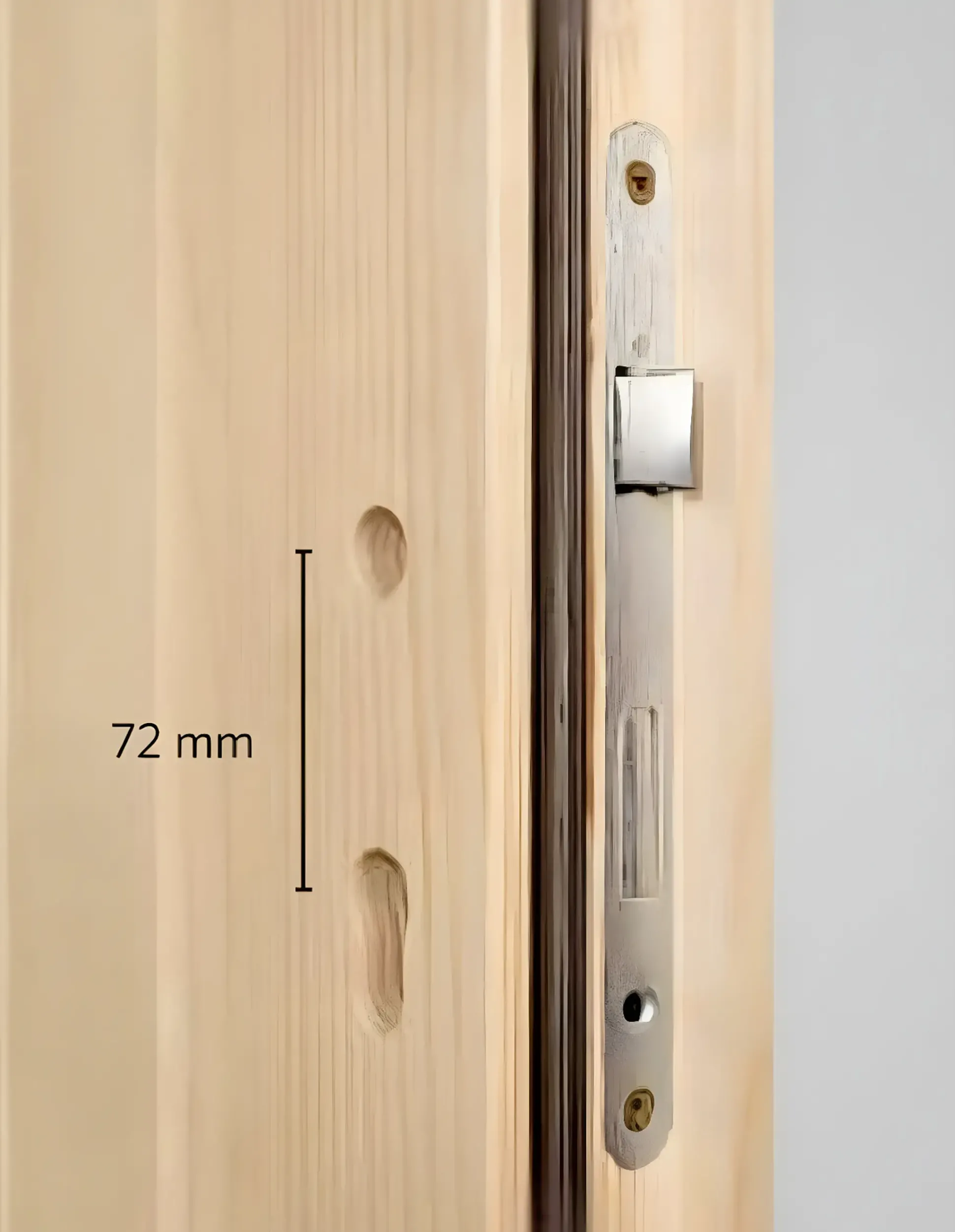 Panto Nebeneingangstür Holz 501 98 x 198 cm DIN Links