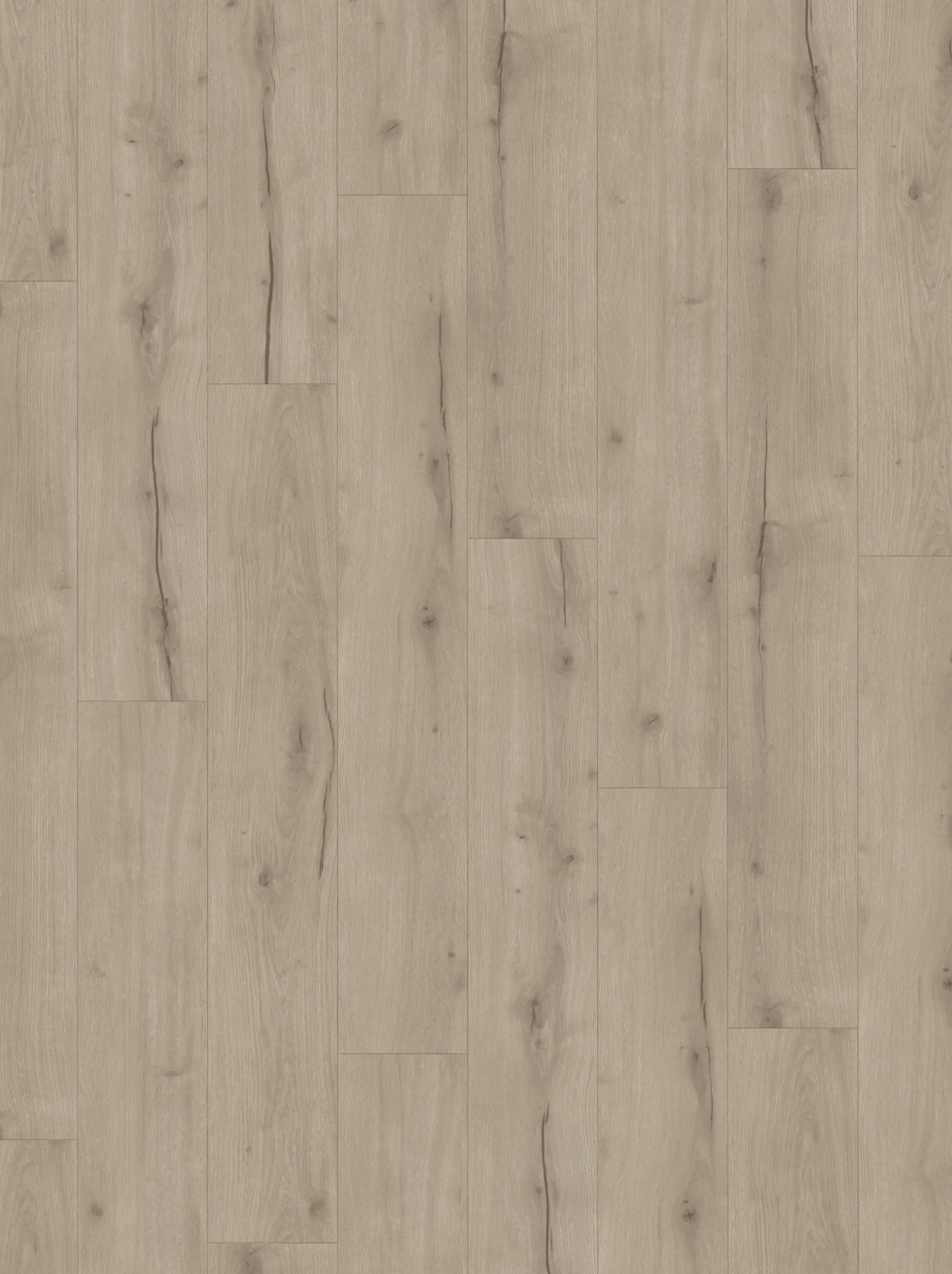 Parador Designboden mit Trittschalldämmung Modular One Eiche Helios grau