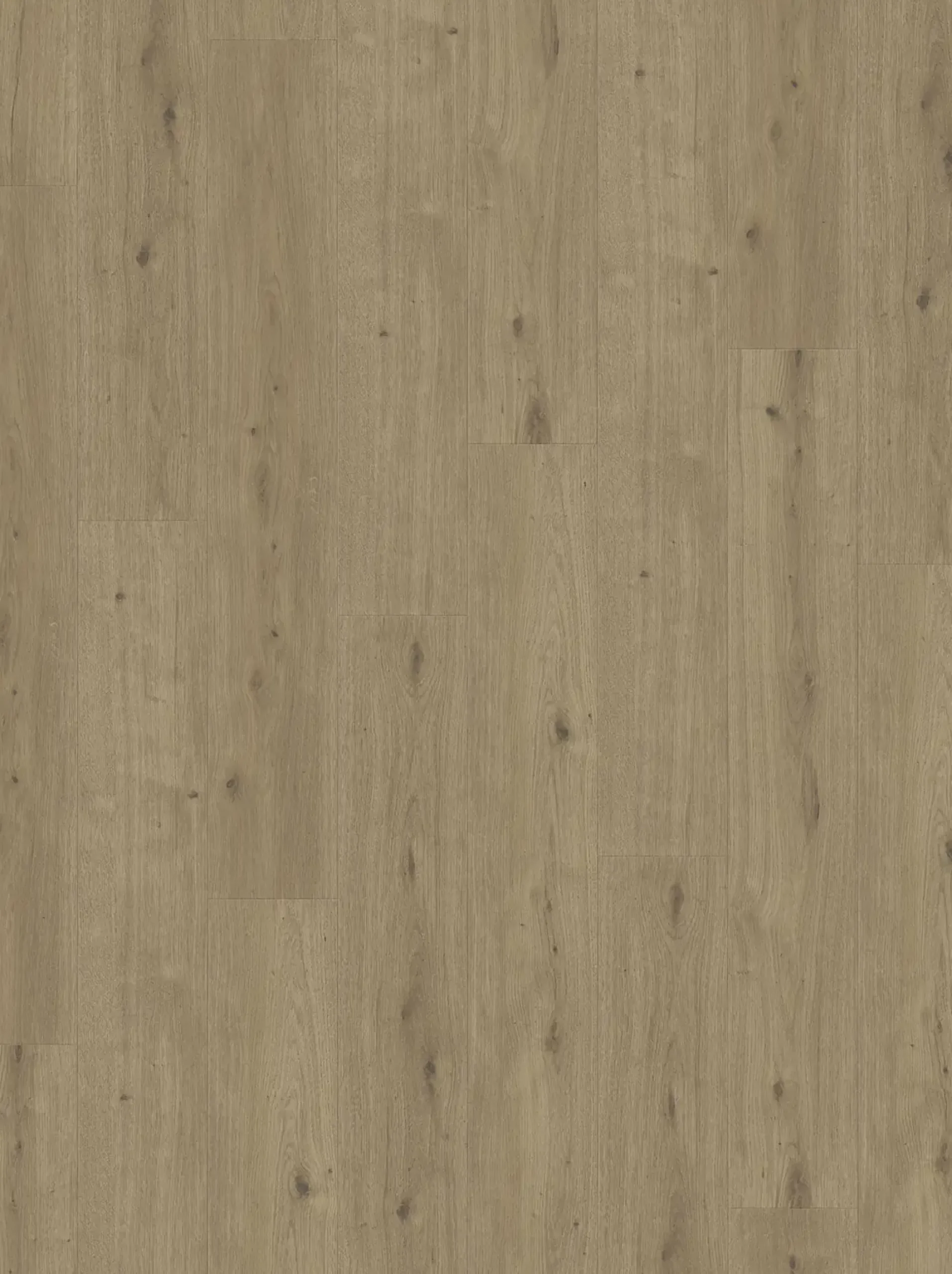 Parador Designboden Modular ONE Eiche Atmosphere umbra Authentische Struktur