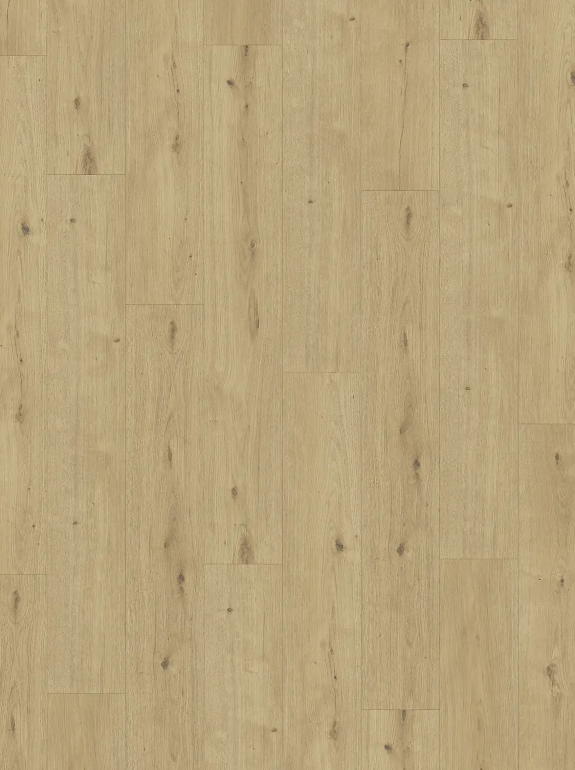Parador Designboden Modular ONE Eiche Atmosphere natur Authentische Struktur