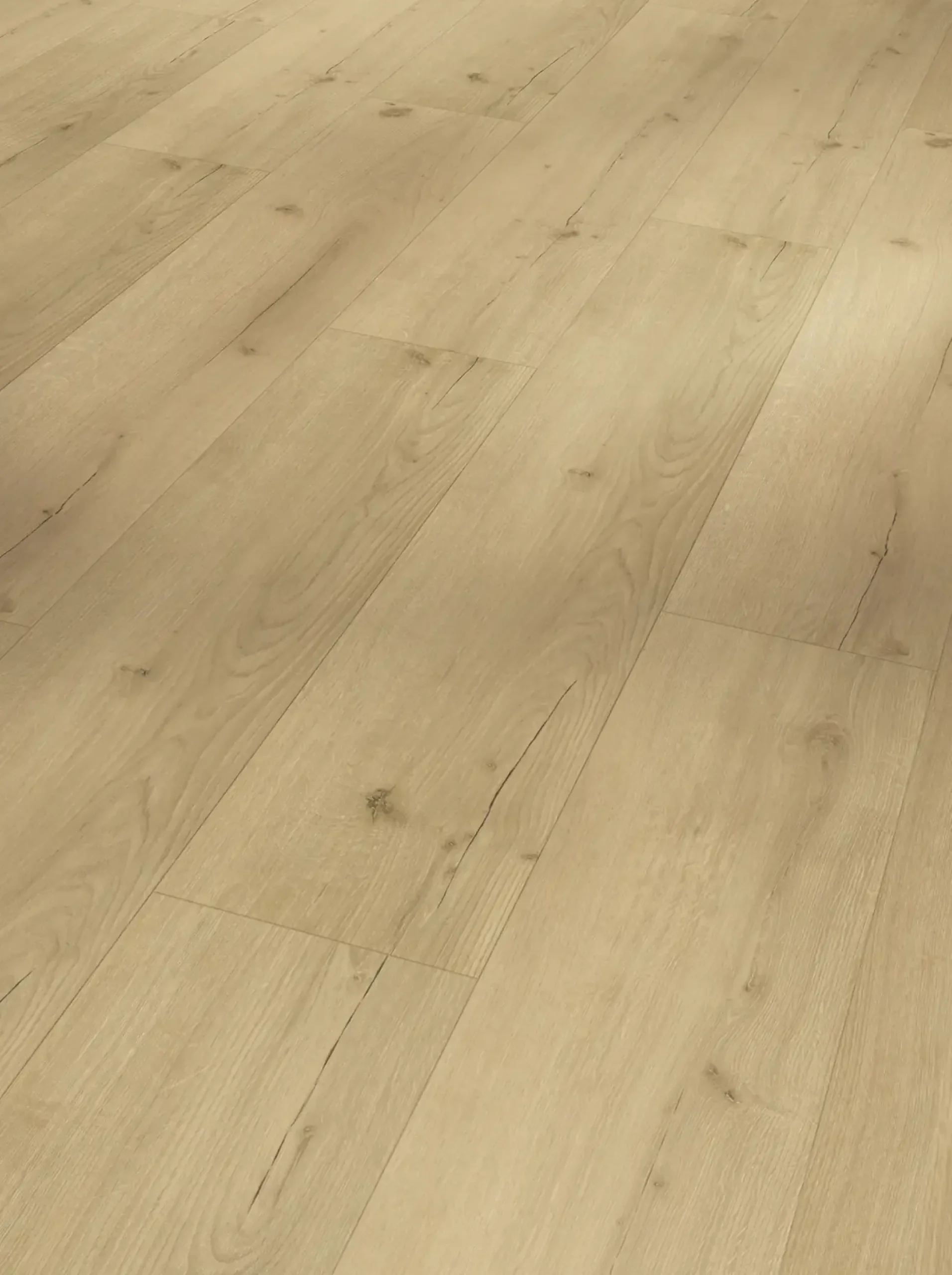Parador Vinyl Basic 5.3 Eiche Infinity natur Landhausdiele