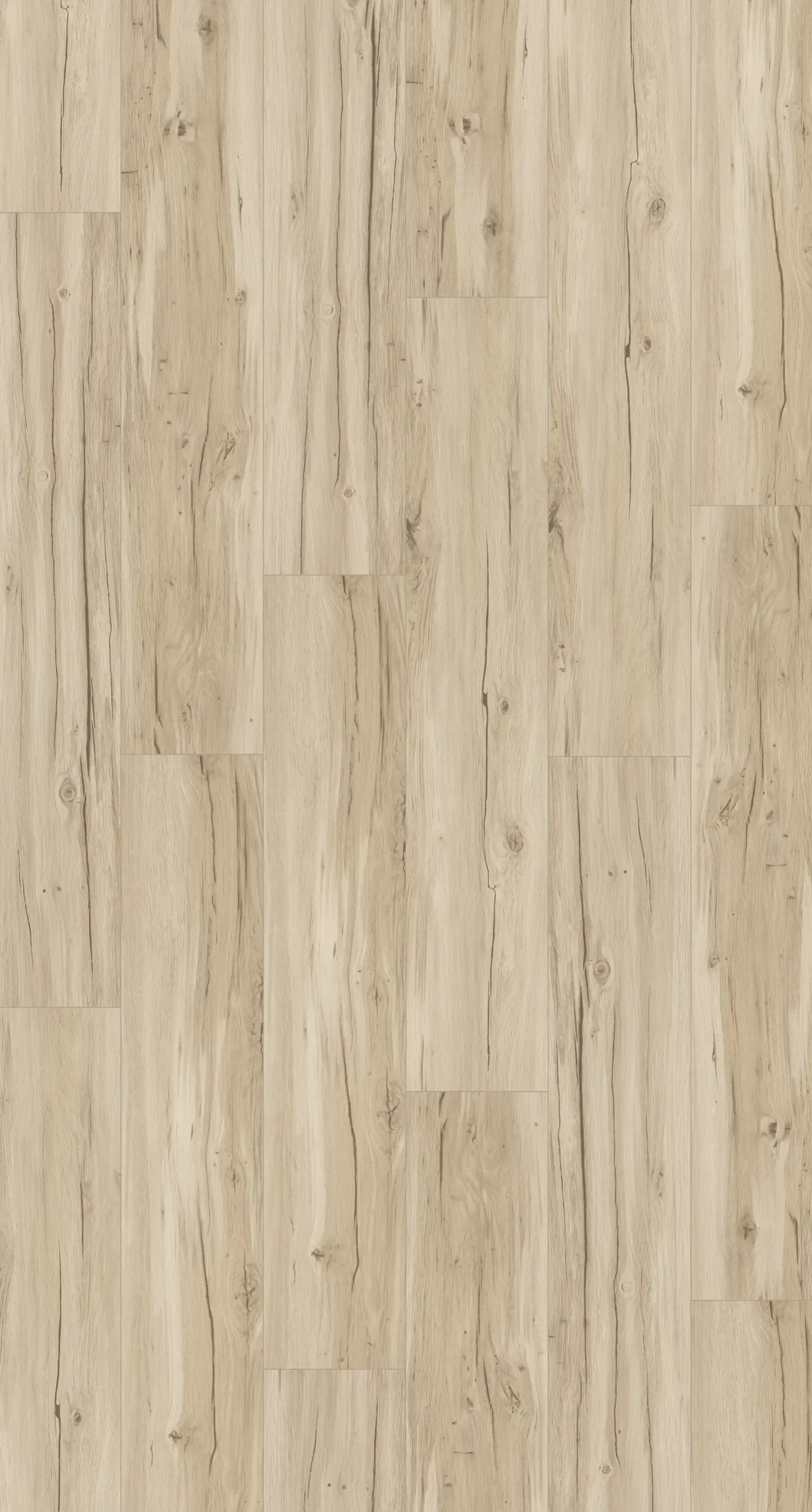 Parador Vinylboden Basic 5.3 Eiche memory geschliffen