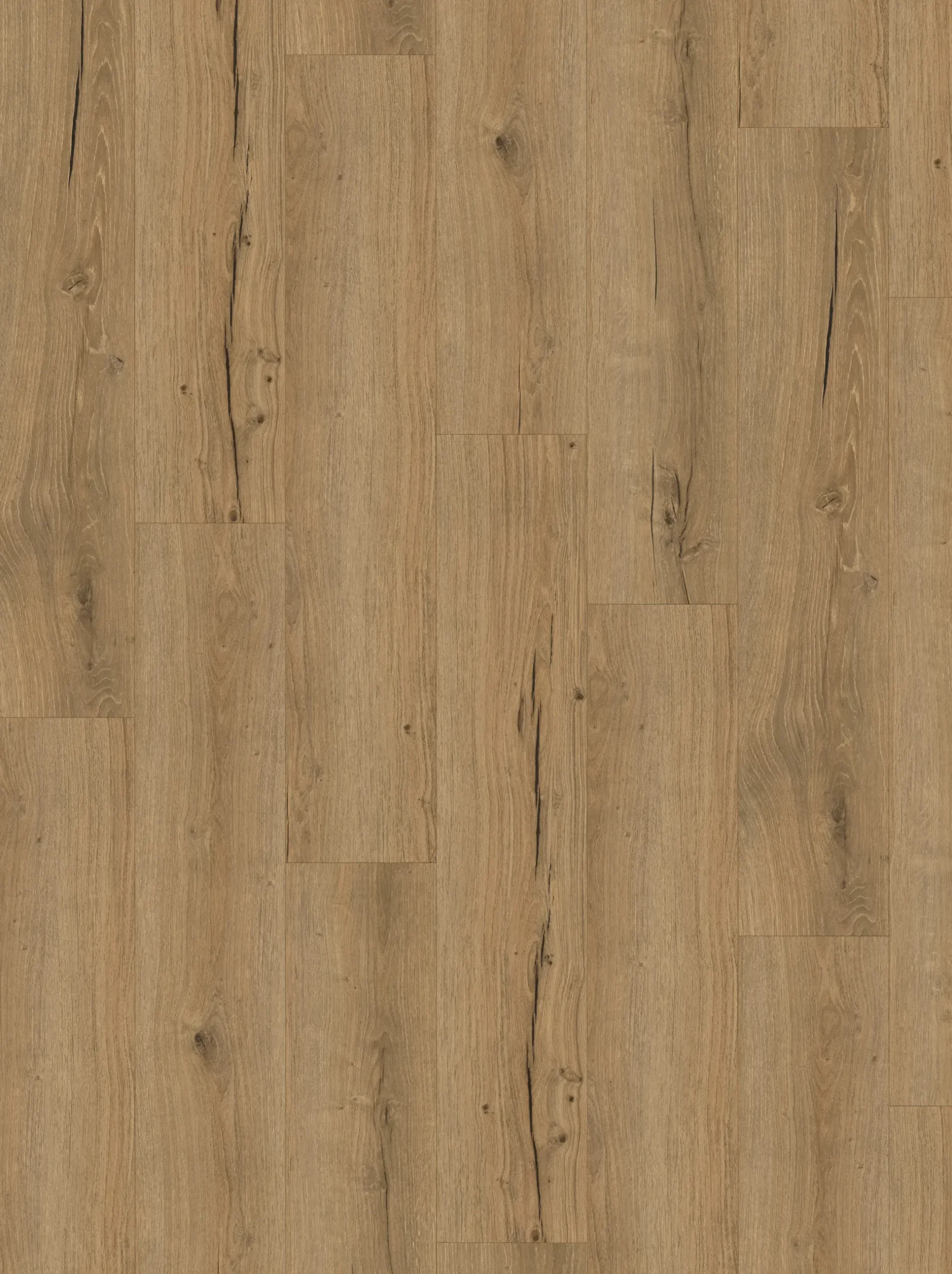 Parador Vinylboden mit Trittschalldämmung Basic 5.3 Eiche Altera natur