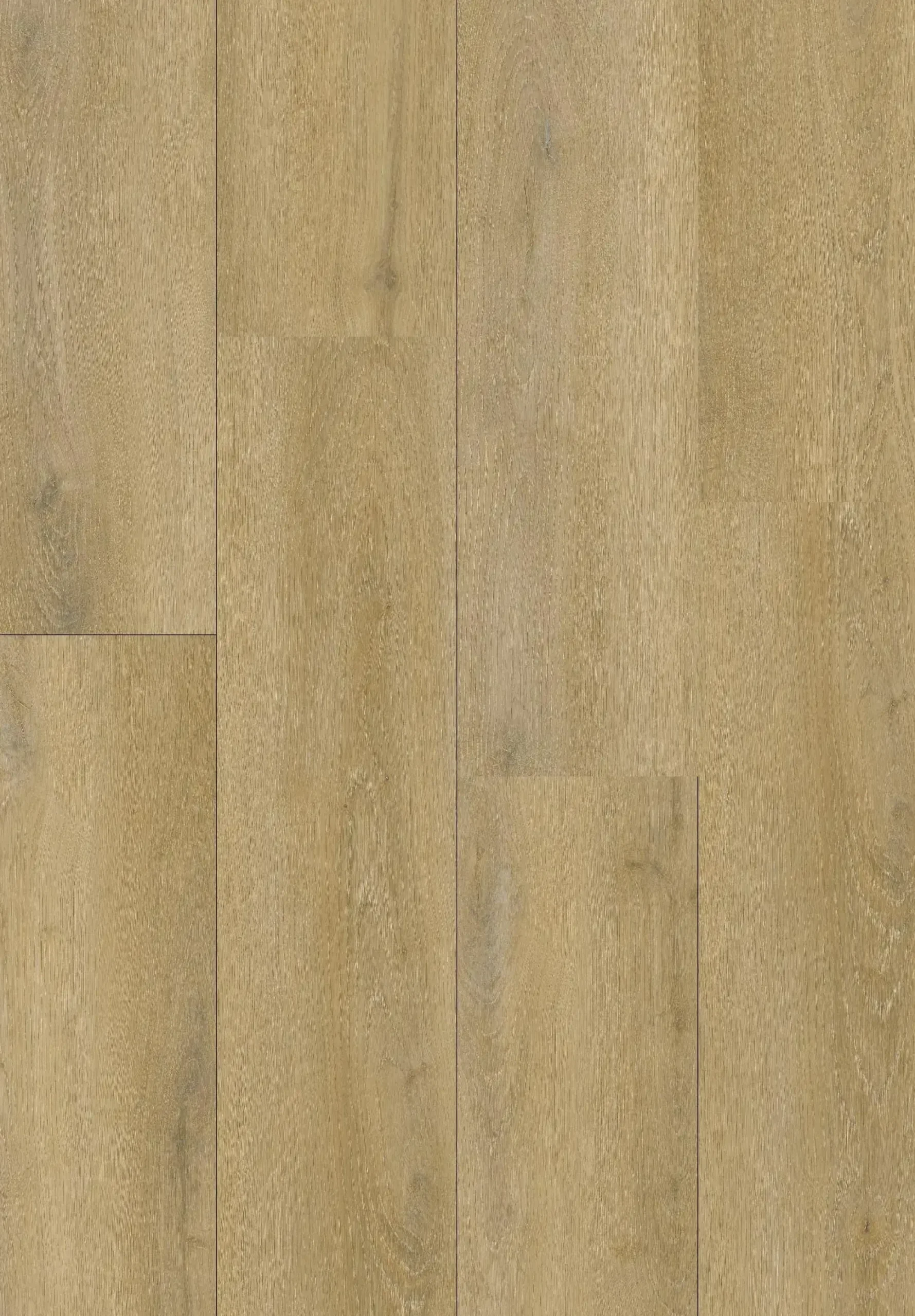 Primaster Vinylboden Eiche Royal