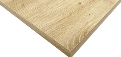 Regalboden Eiche astig 120 x 50 x 1,6 cm
