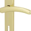Südmetall Türgriff-Garnitur Langschild Franziska BB Messing poliert gold 225 x 40 mm