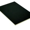 Sperrholzplatte Birke schwarz 125 x 250 cm 4 mm