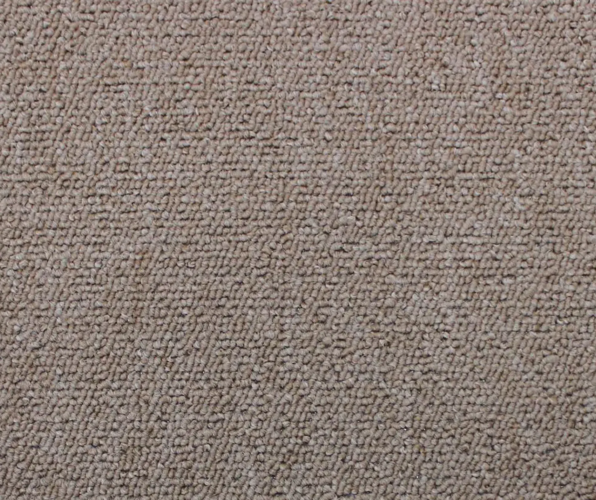 Teppichboden Robbie beige 5 m breit (Meterware)