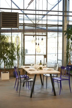 Tisch-Set 