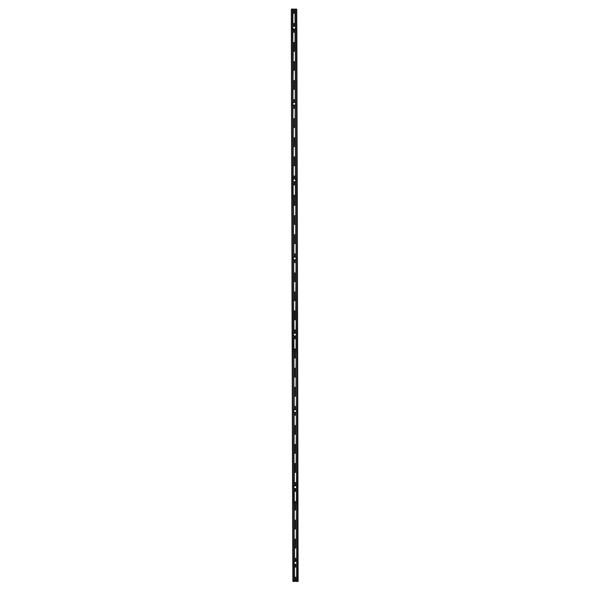 TrendLine Wandschiene 1-reihig schwarz 150 x 1,5 cm