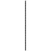 TrendLine Wandschiene 1-reihig schwarz 100 x 1,5 cm