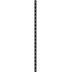 TrendLine Wandschiene 1-reihig schwarz 100 x 2,5 cm